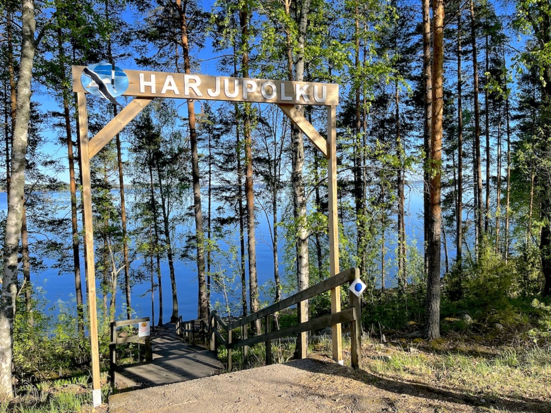 Pulkkilanharjun luontopolun aloitusportti Päijänteen kansallispuistossa