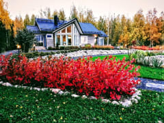 Syksyn väriloistoa, Villa Paasirinne A