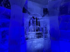 ice sculptures