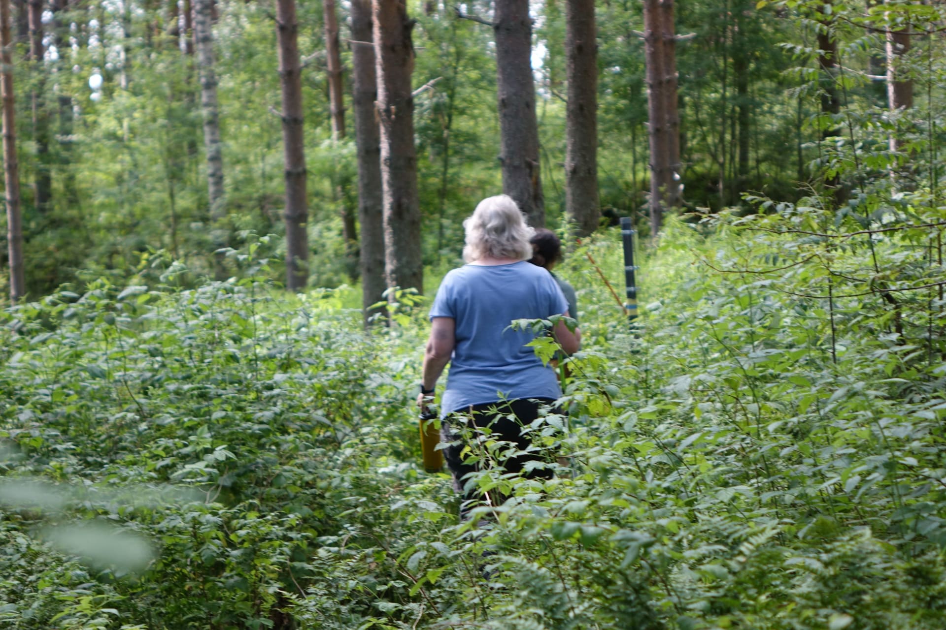 Majatalosta majataloon kävellen