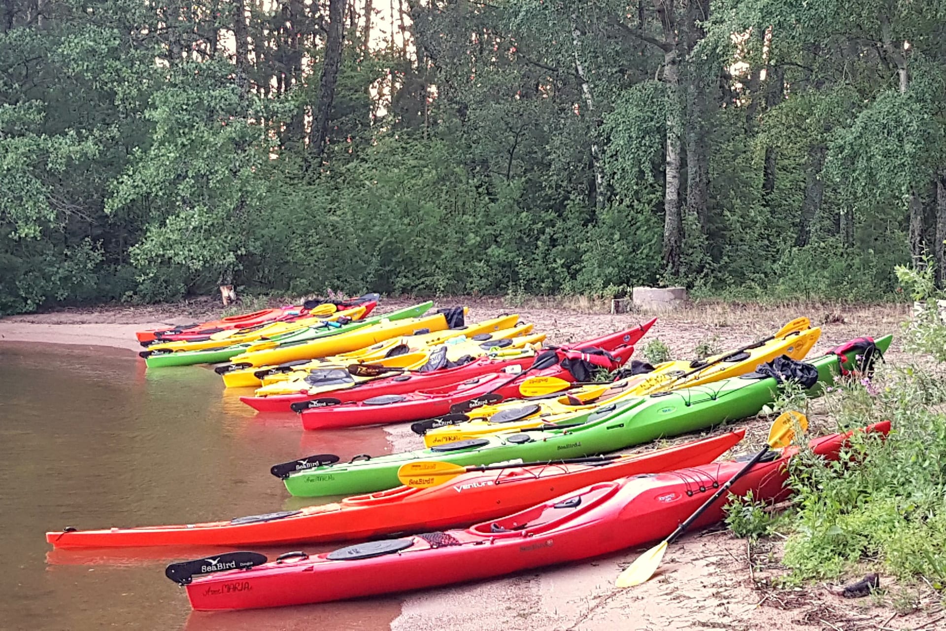 Kayak rental - 4