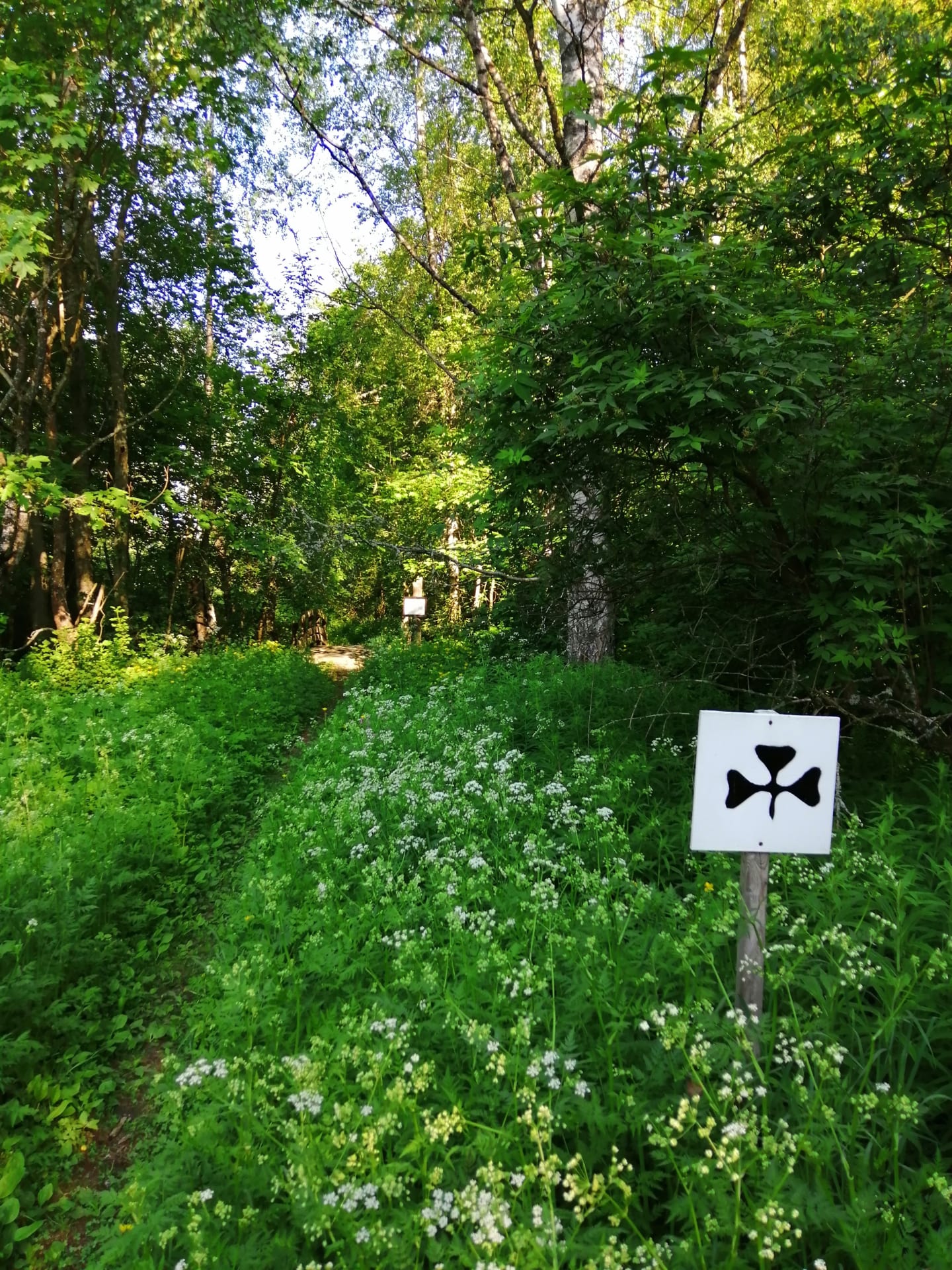 The trail introduces the natural, cultural and historical sites around Juva.