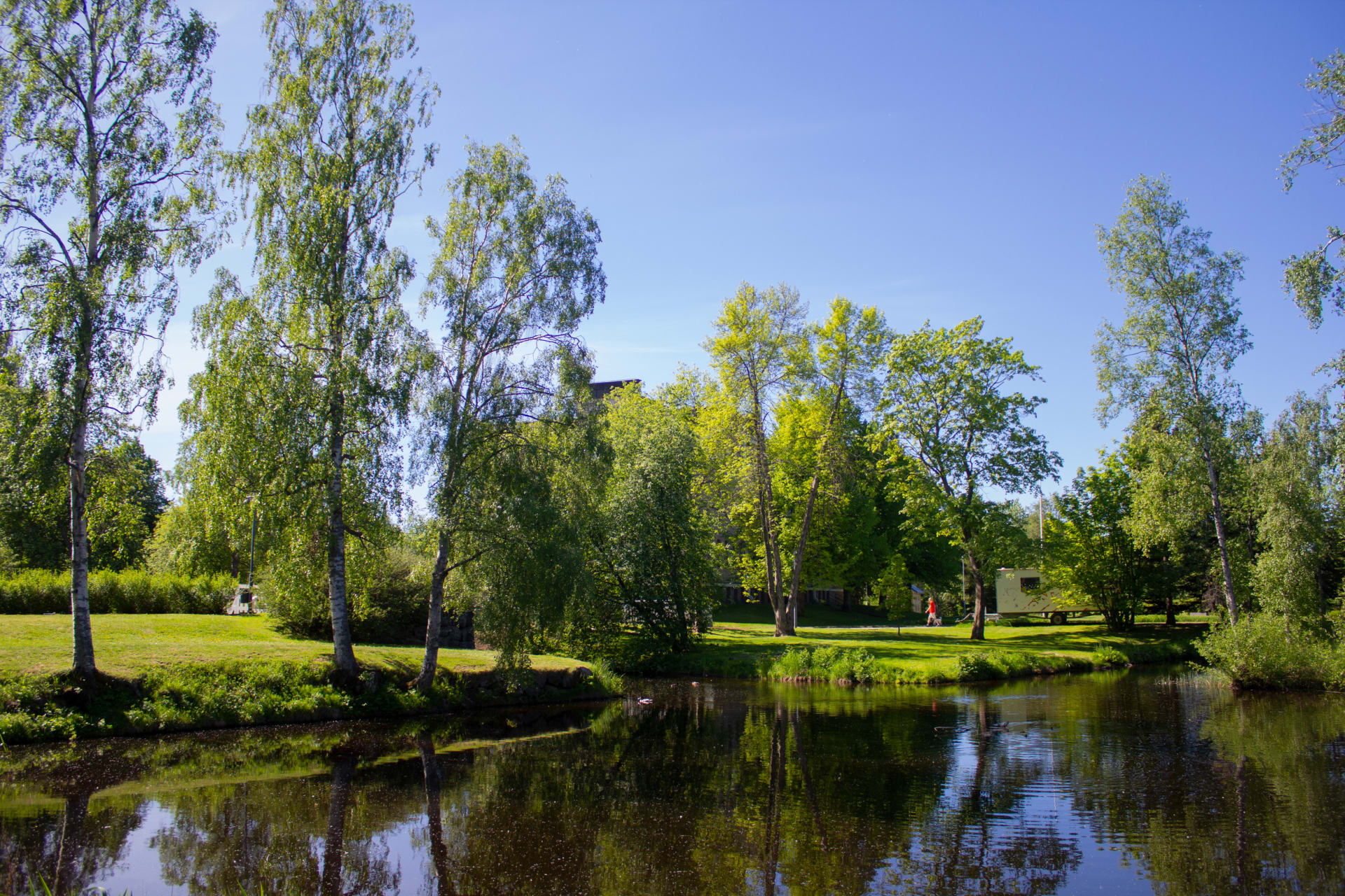 Birches and garden at Hupisaaret Park