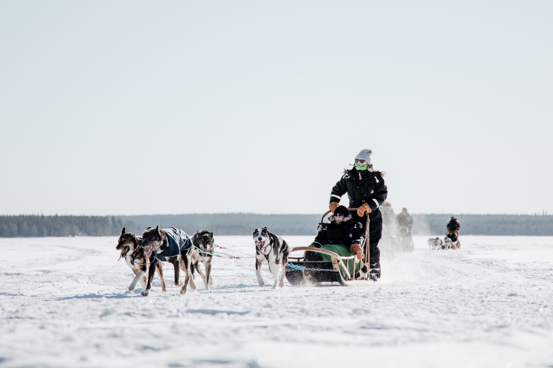 Taiga Husky tour