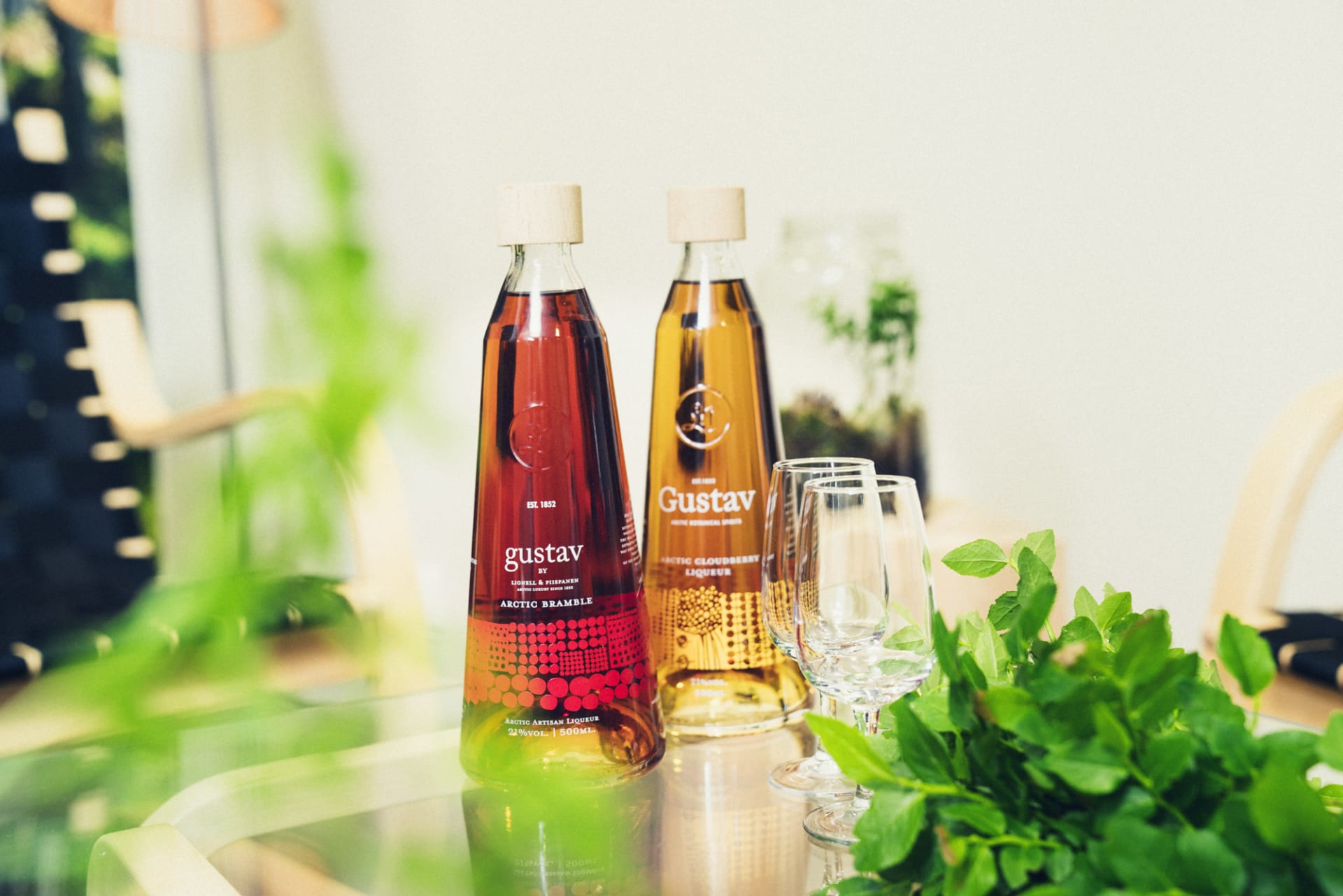 Excellent Gustav berry liqueurs