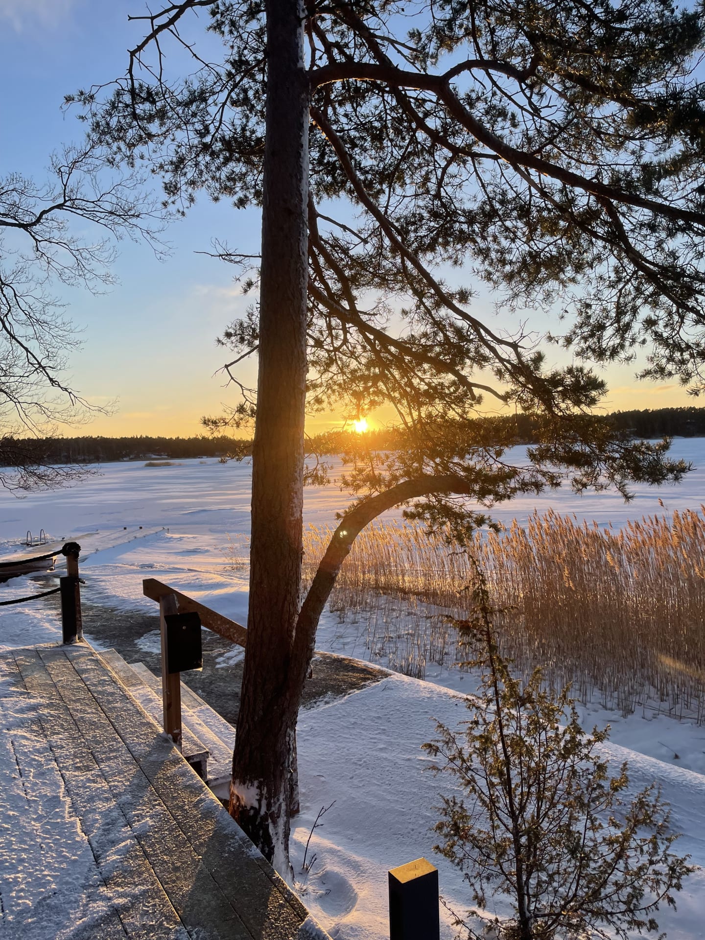Talvinen meren ranta Talvinen meren ranta