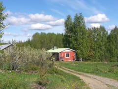 Kesäistä näkymää mökin pihalta. Summer view.