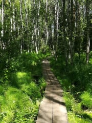 In nature, you can walk on different paths.