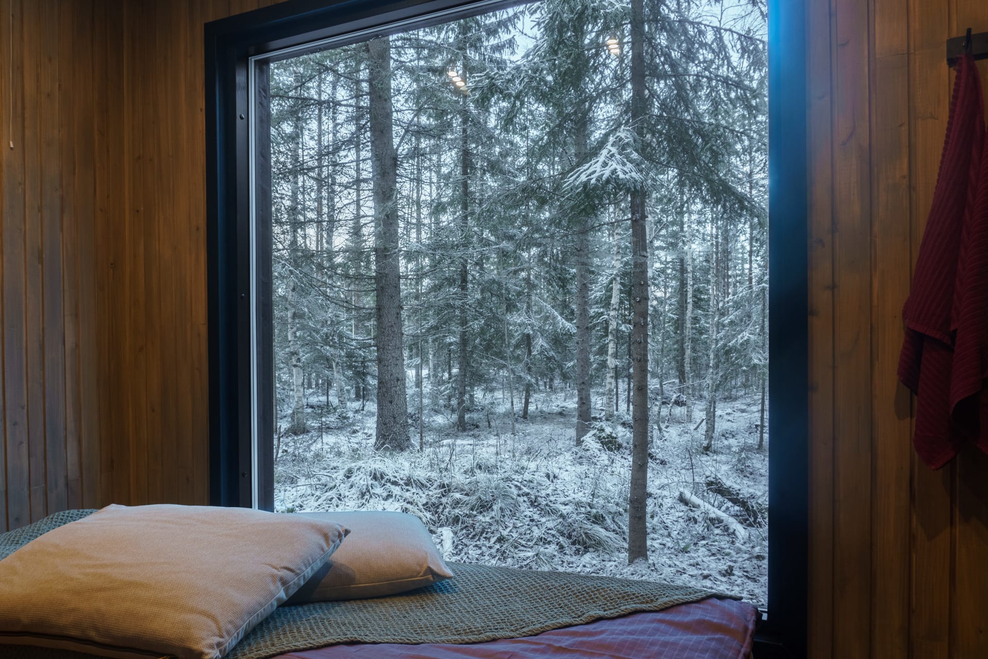 View from cabin window