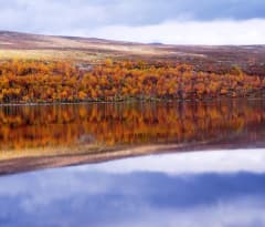 Autumn foliage at Lake Tsahkal