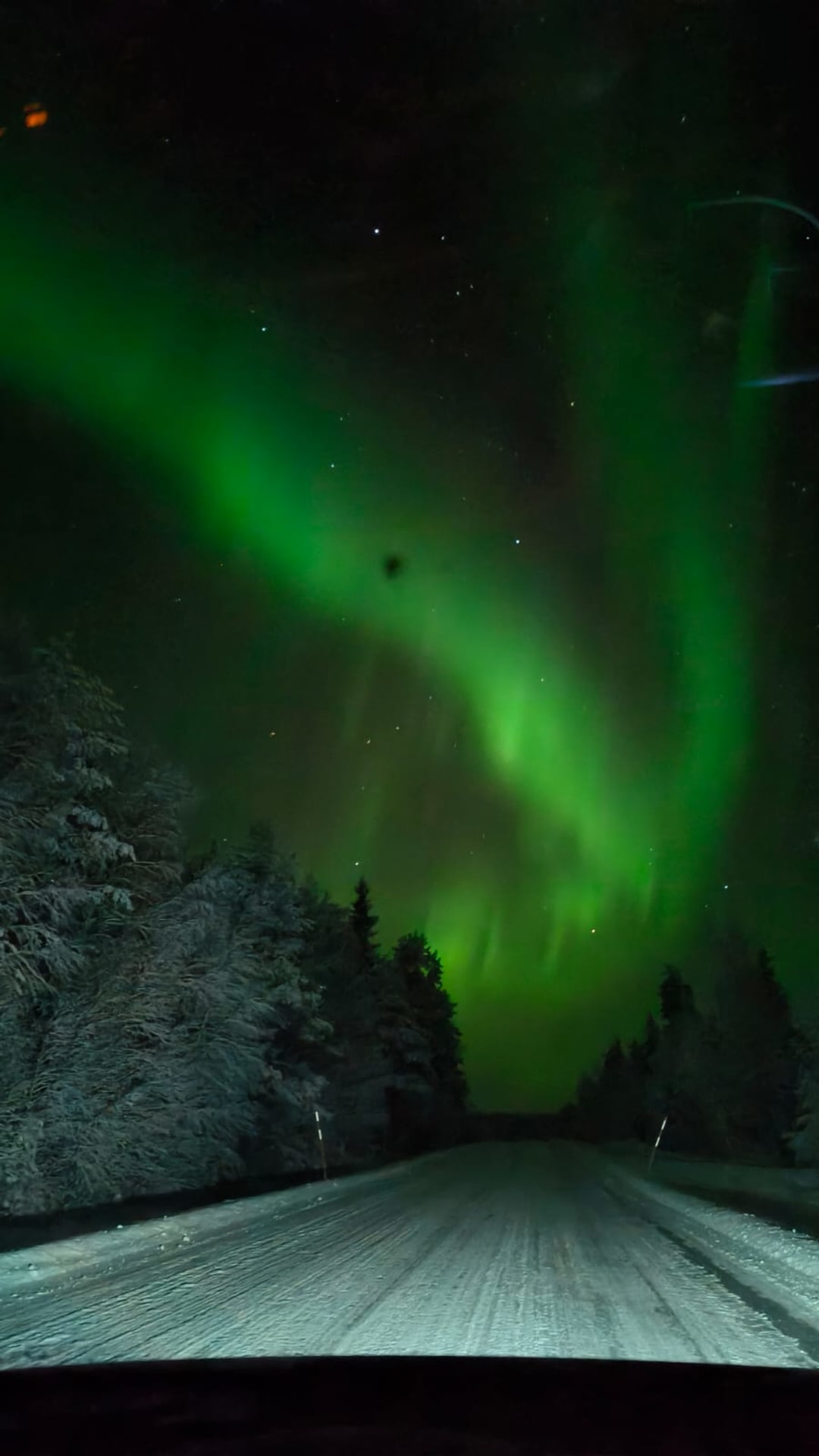 Aurora Borealis dancing in the night sky