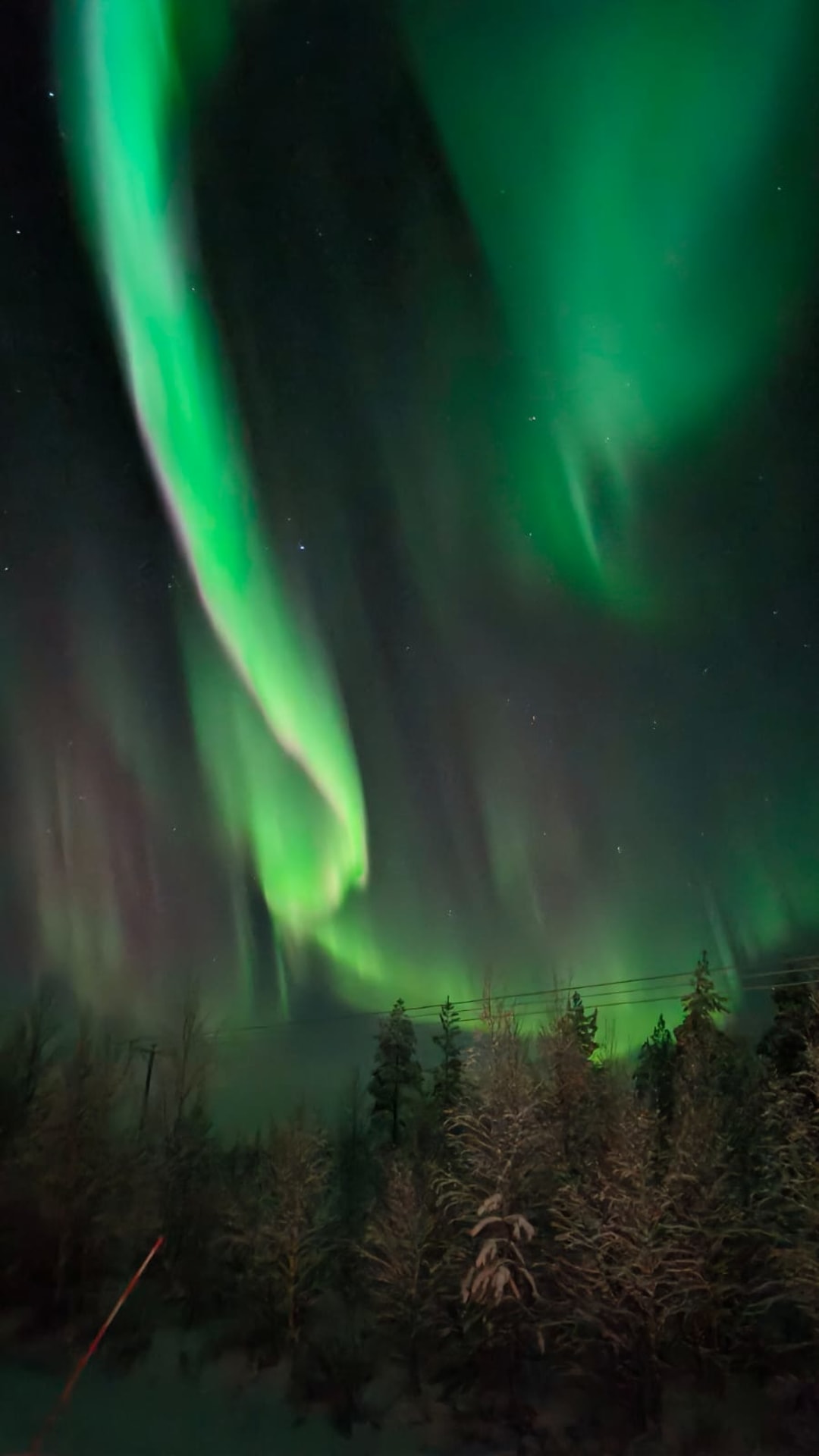 Aurora Borealis dancing in the night sky