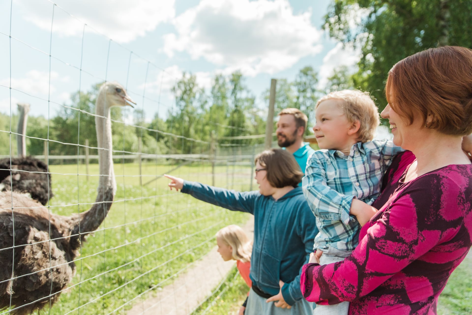 Kilkkilän farmi Vuolenkoski