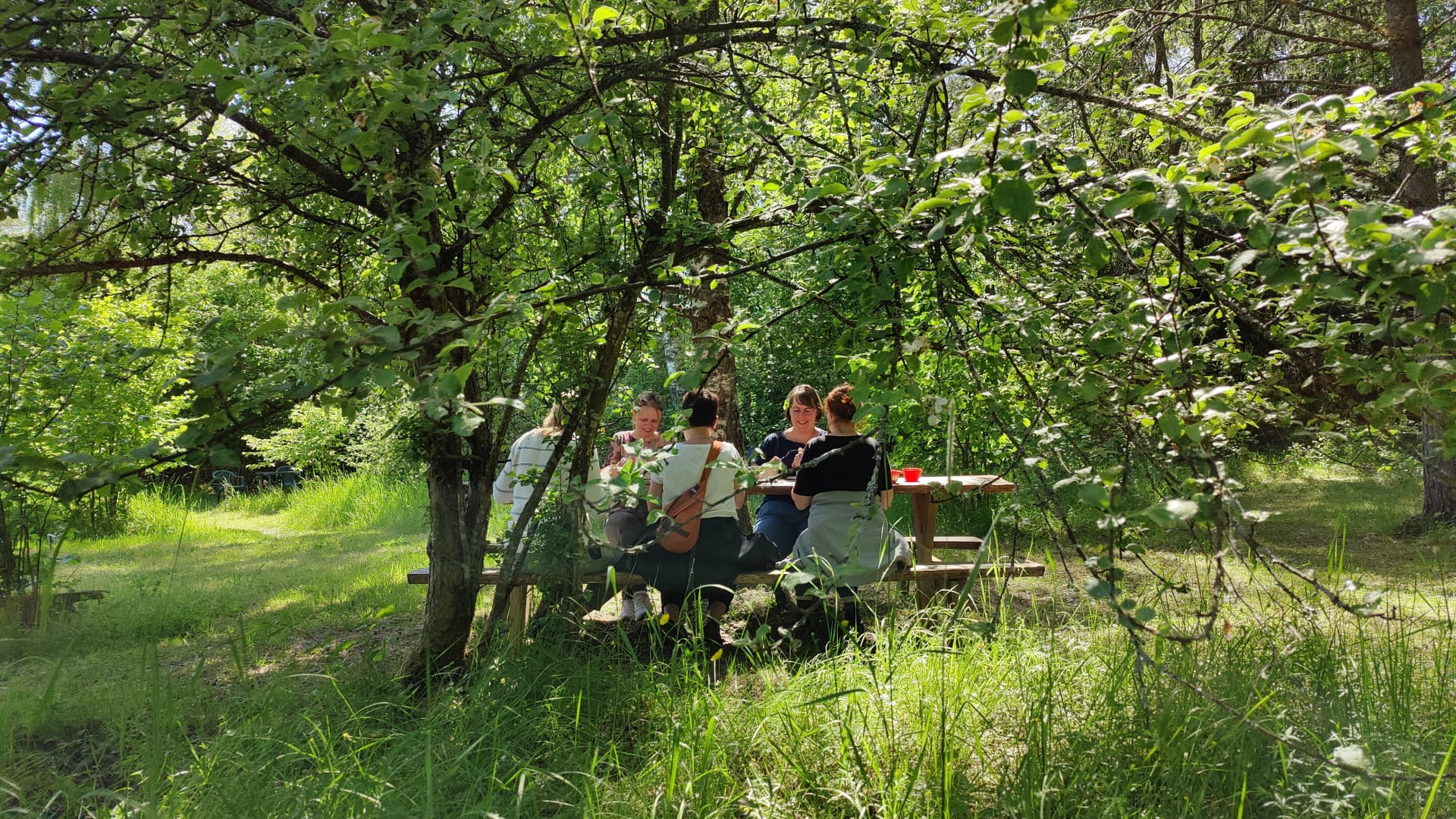 Picnic under the trees at Naawa Nature Camp