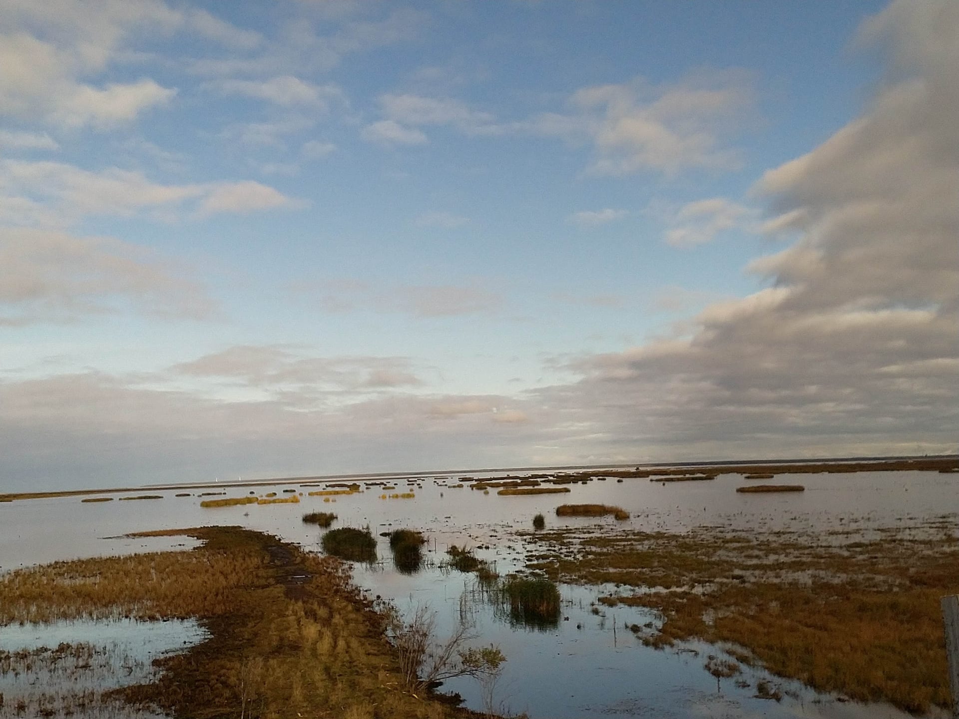 View from the birdwatching tower in Liminka Bay