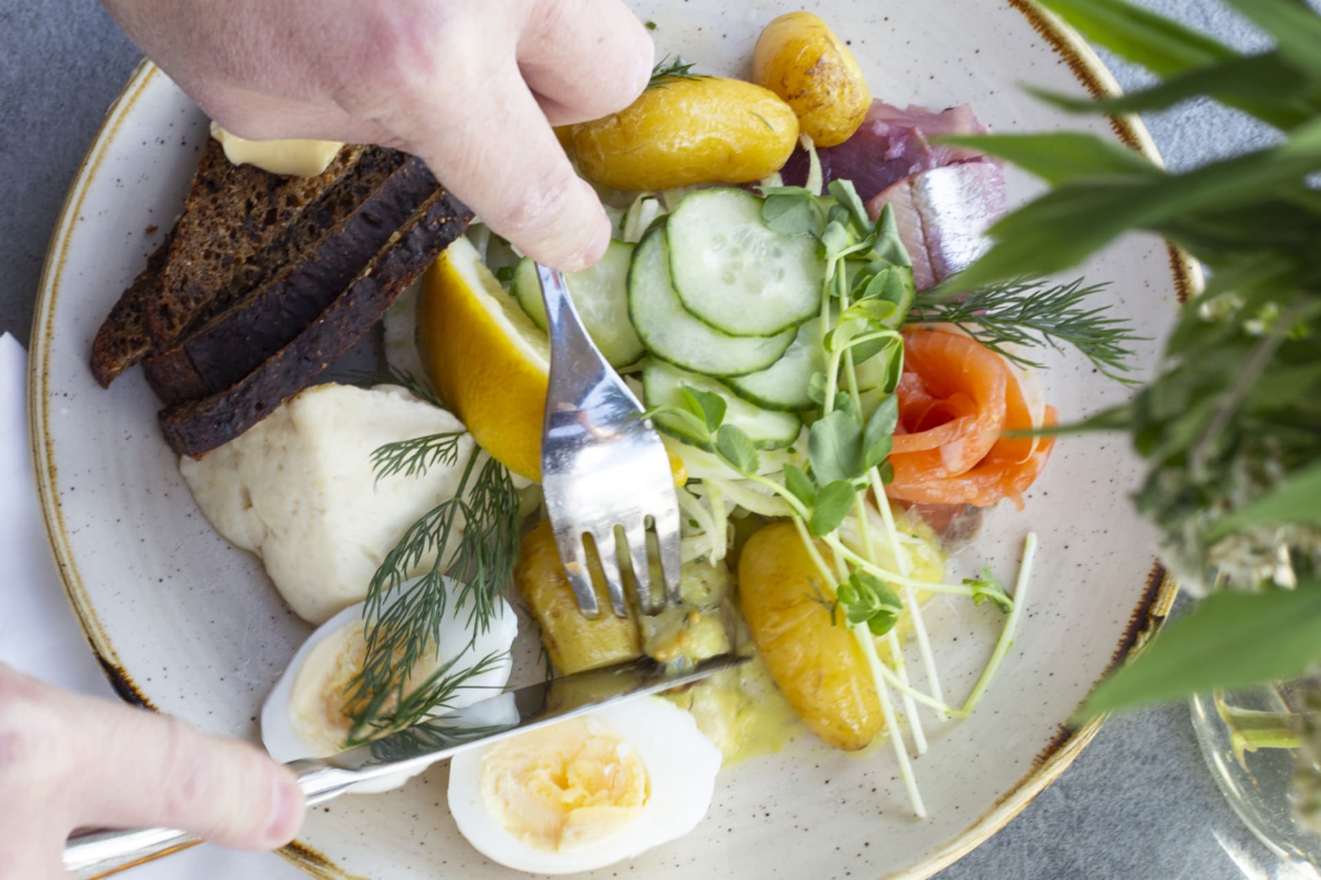 Archipelago plate with fish and summer potatoes