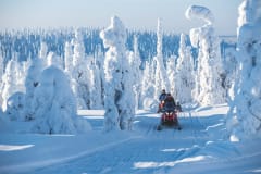 Snowmobiling in Ruuhitunturi