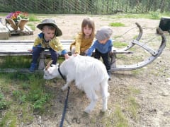 Karilan Navettagalleria