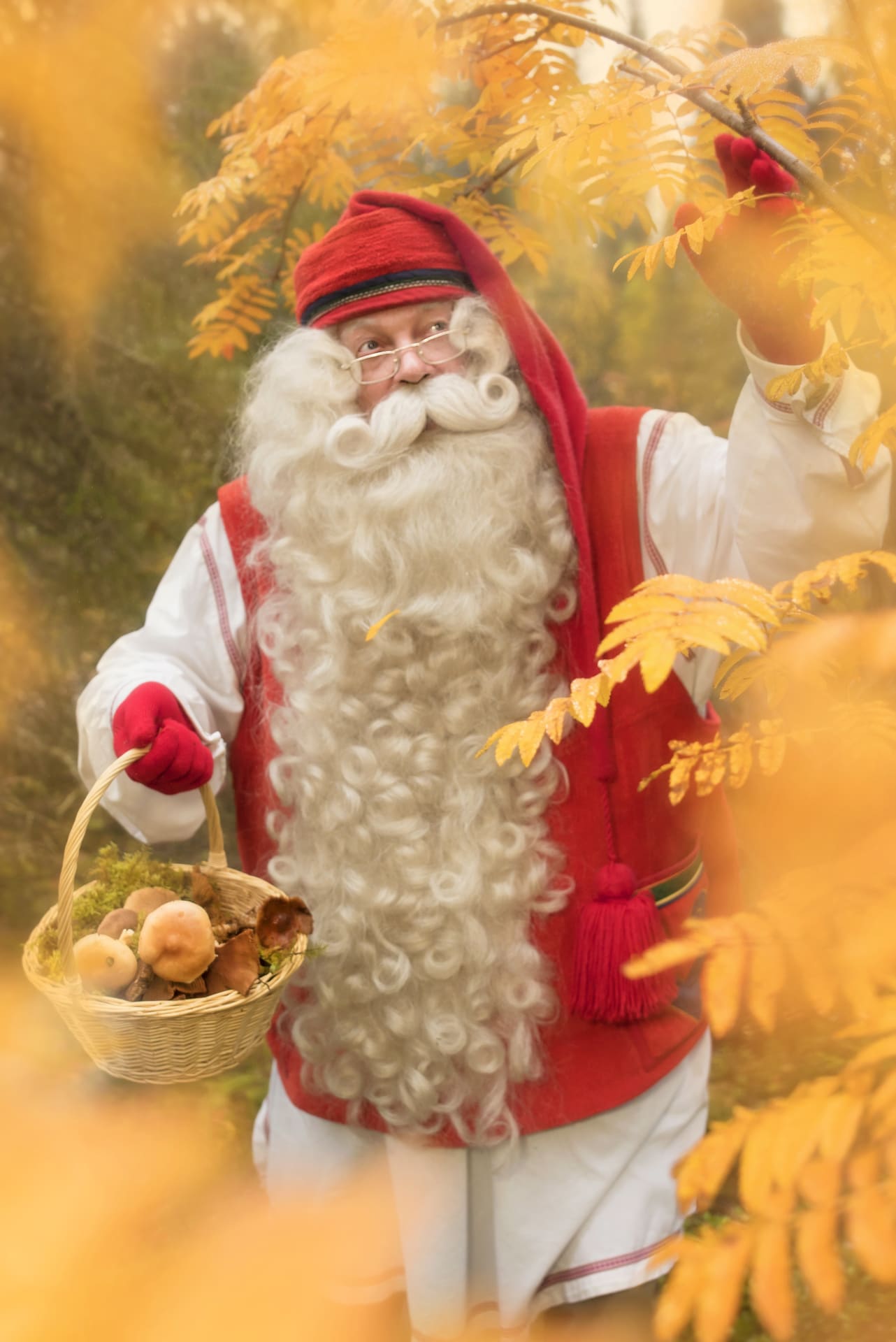 Santa Claus in Autumn forest