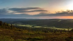 Metsäistä tunturimaisemaa ja auringonlasku kesällä. / Fell landscape and forest and sunset in summer. Kuva:Heikki Sulander