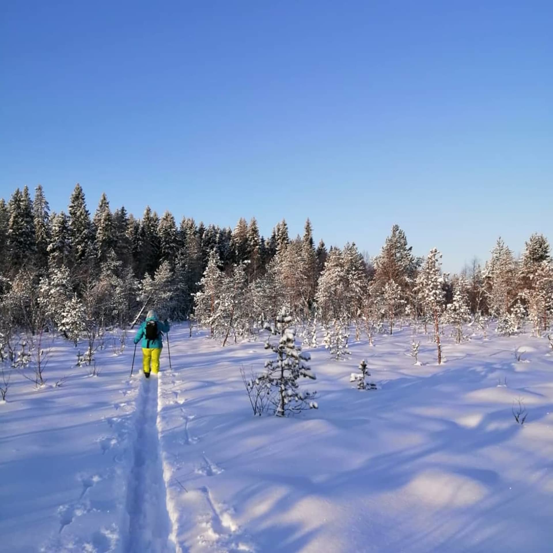 skiing in the wilderness