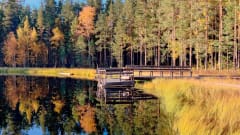 Opastettu turvesaunominen maailman suurimmassa savusaunassa omalle ryhmällesi