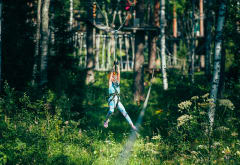 Tyttö liukuu vaijerirataa pitkin. Pajulahti