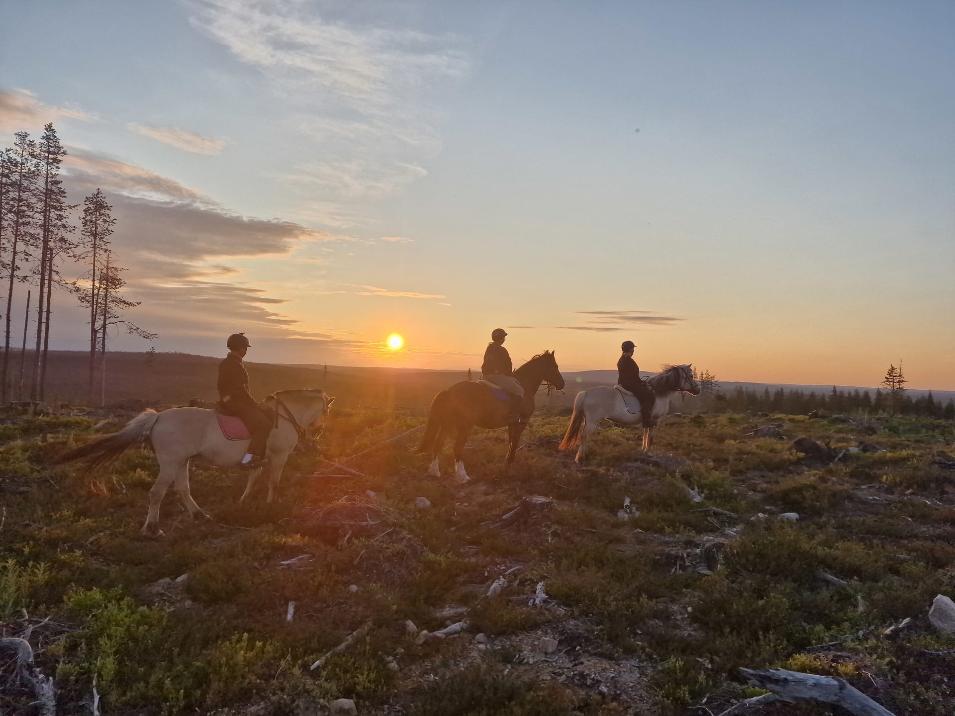 Midnight sun riding over the hill 4h