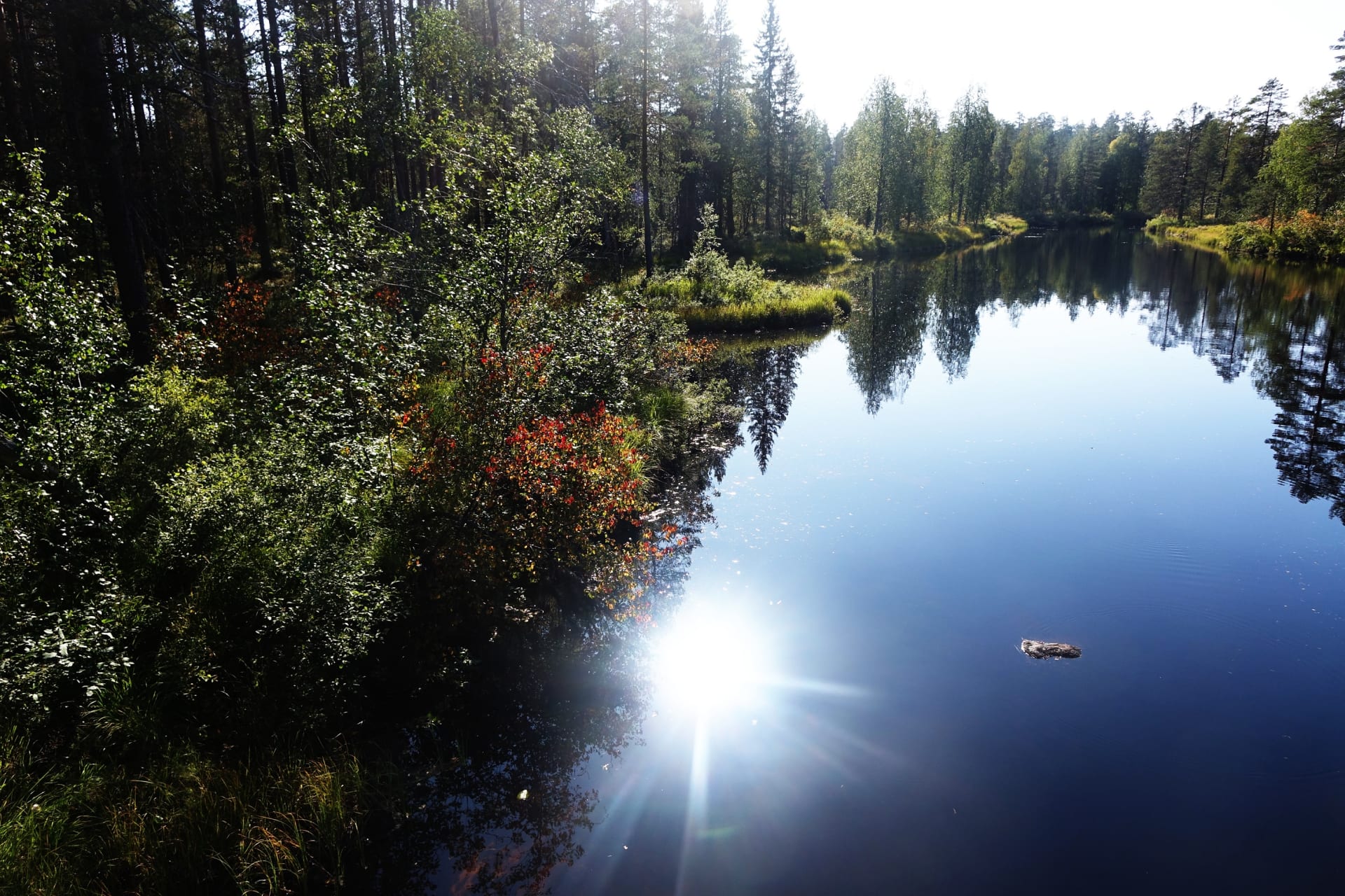 https://aksytammat.fi/en/p/38/hiking-tours-in-two-national-parks-and-nature-reserve-area
