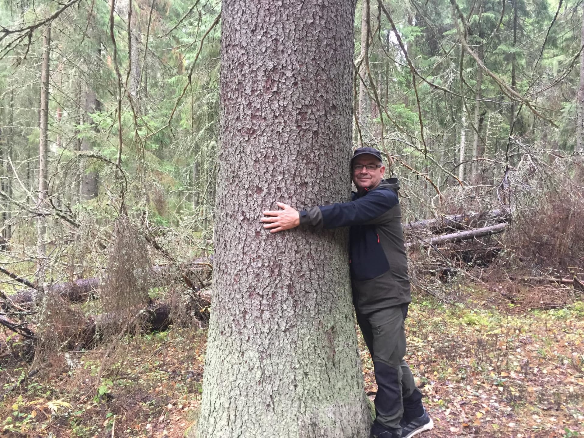 Hug the tree!