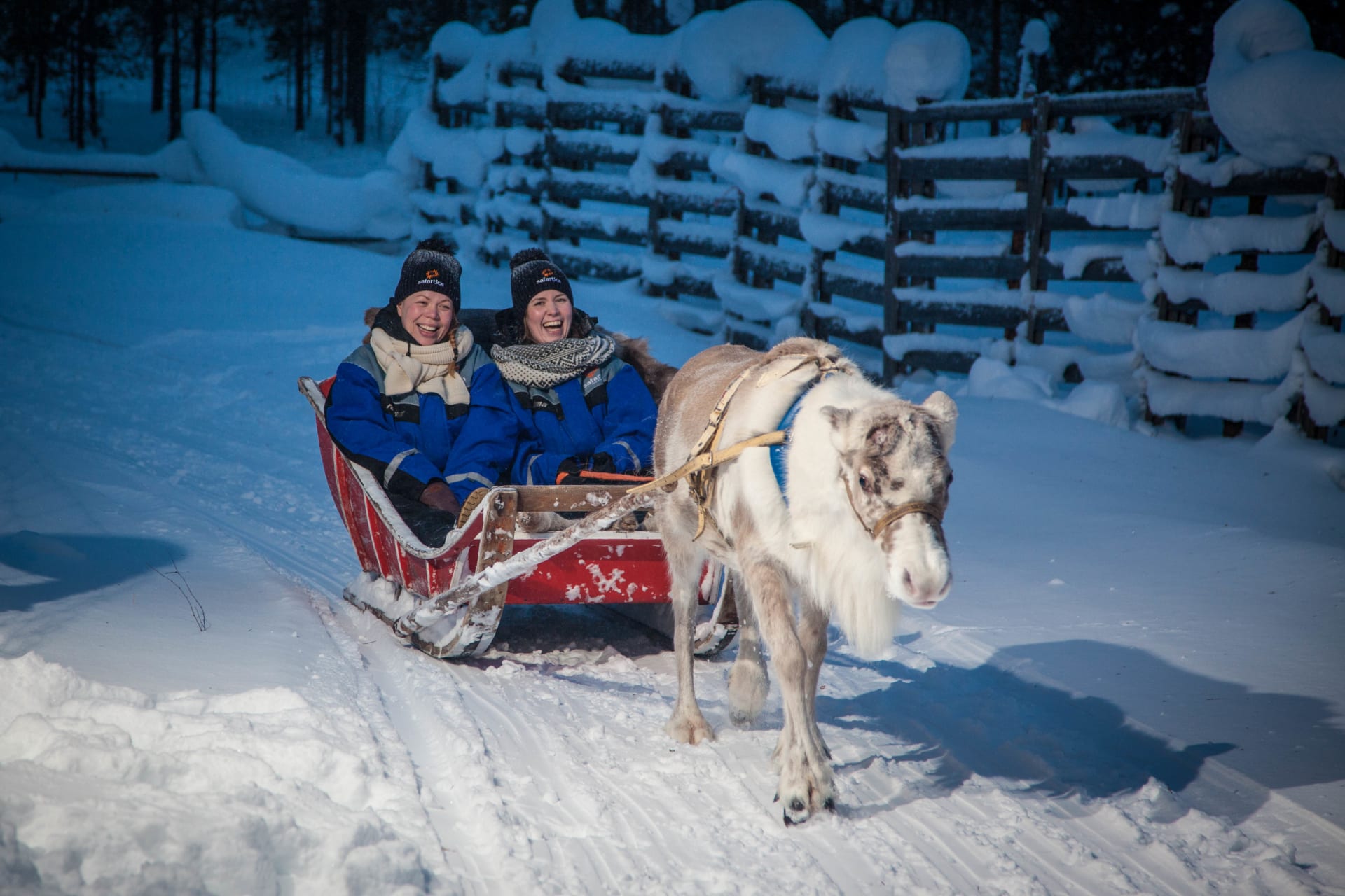 Riding with a reindeer