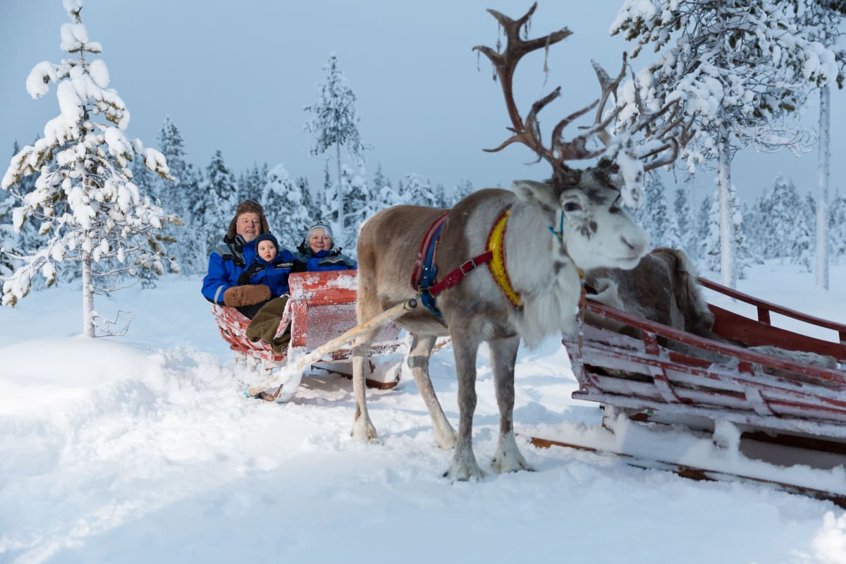 Traditional Reindeer Ride