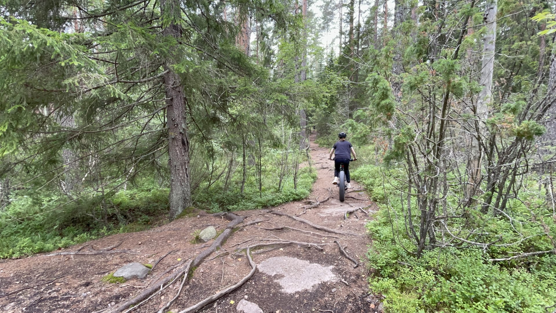 MTB rental and tours starting at Cafe Haukka