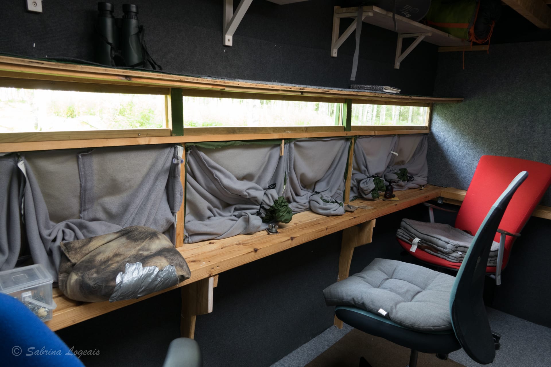 photo hide, affut ours