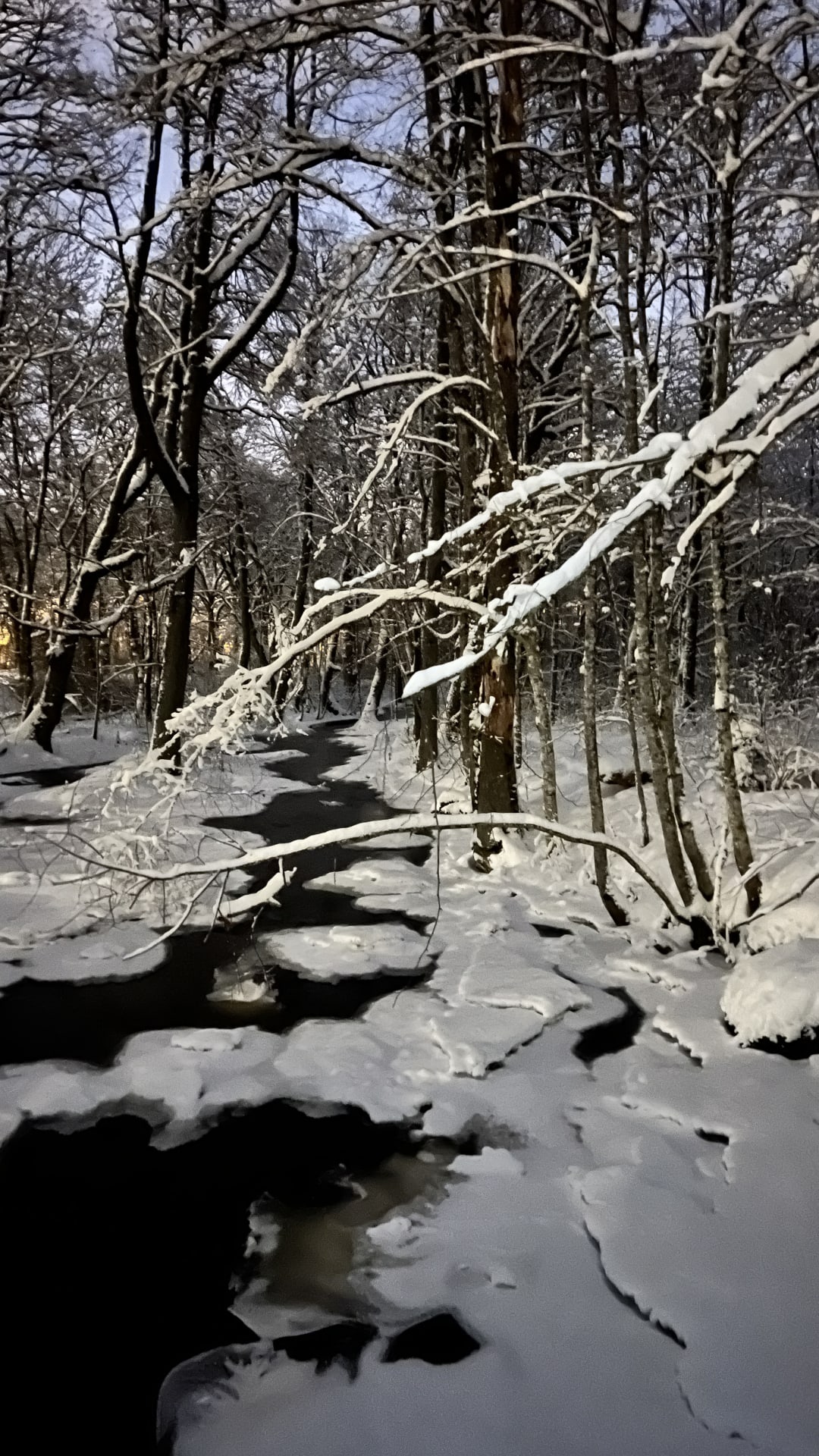 Joki virtaa talvisessa metsässä