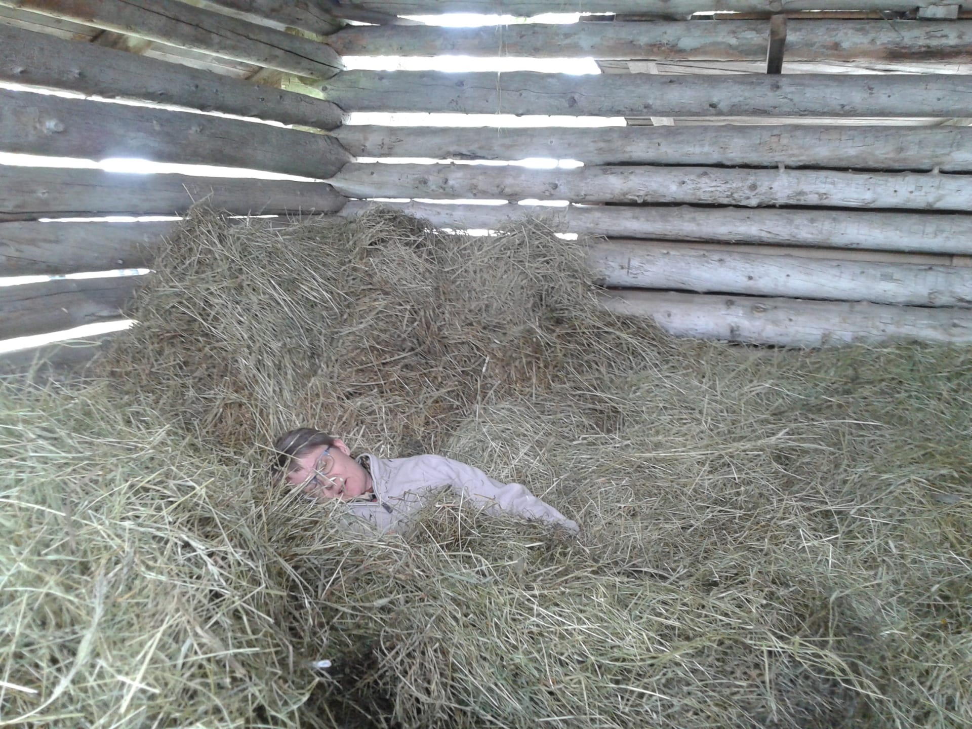 Nap in hay barn