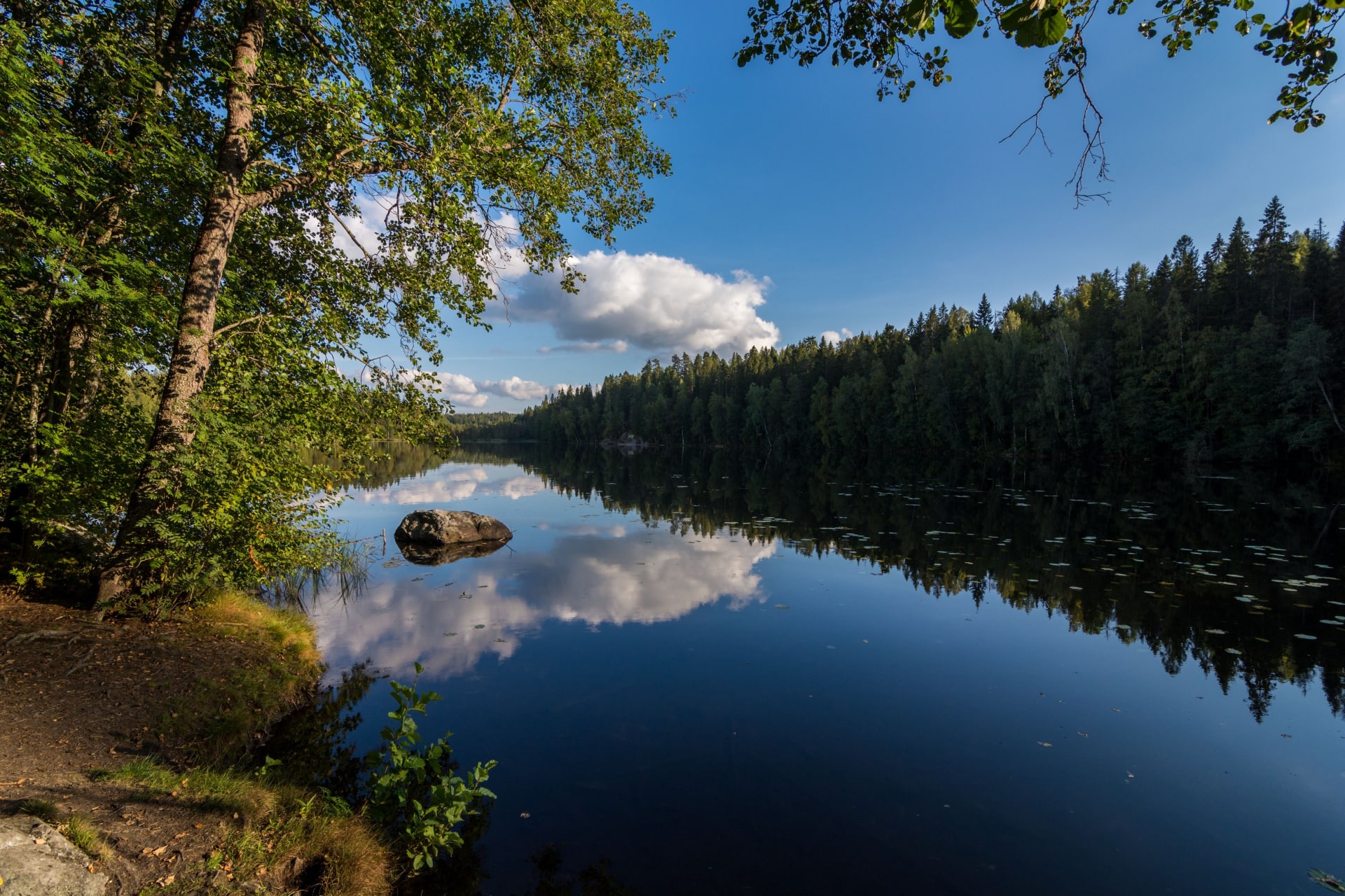 Suolijärvi Lake in summer