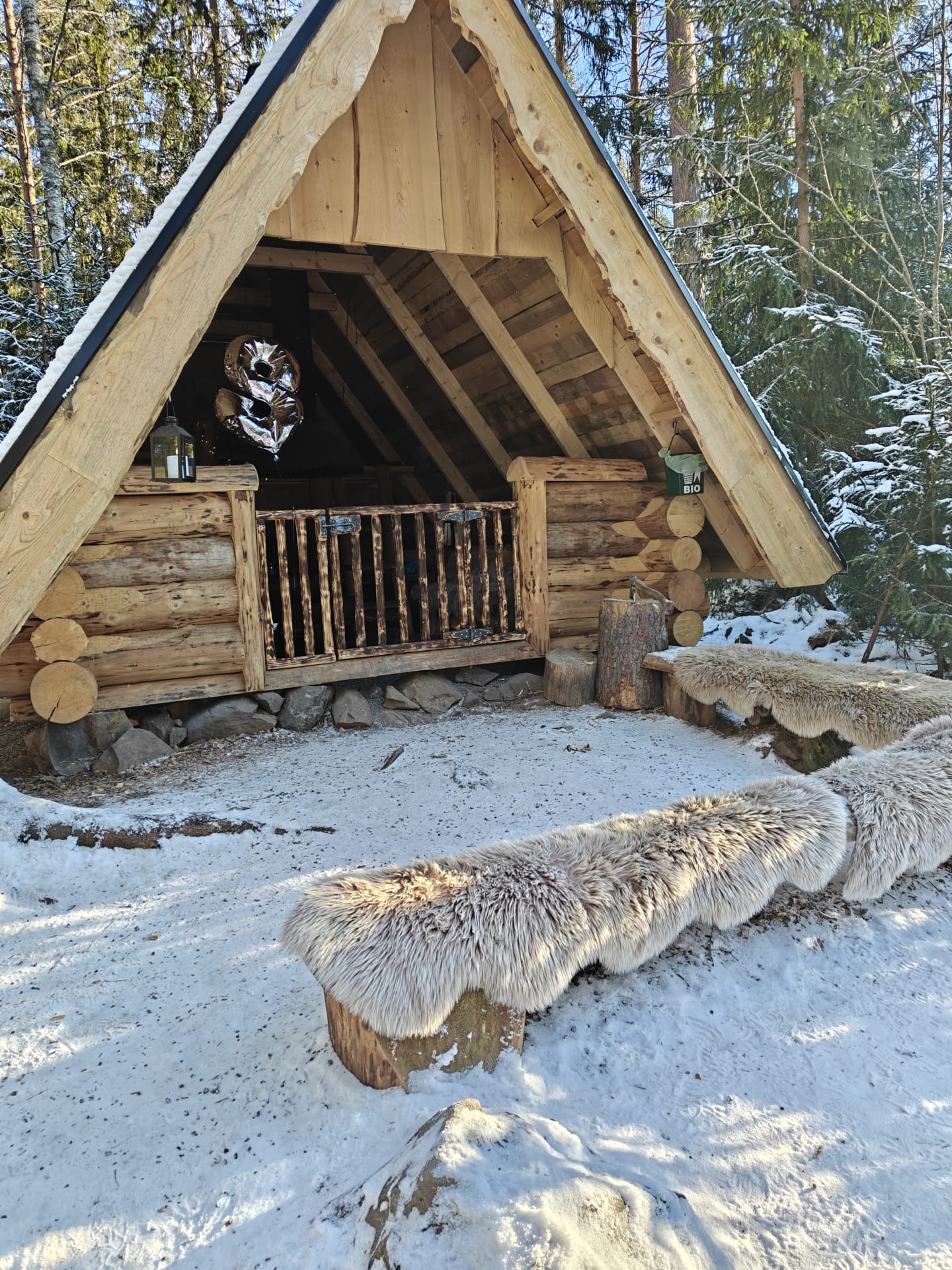 Laavulla alkamassa 8 vuotiaan syntymäpäivät.