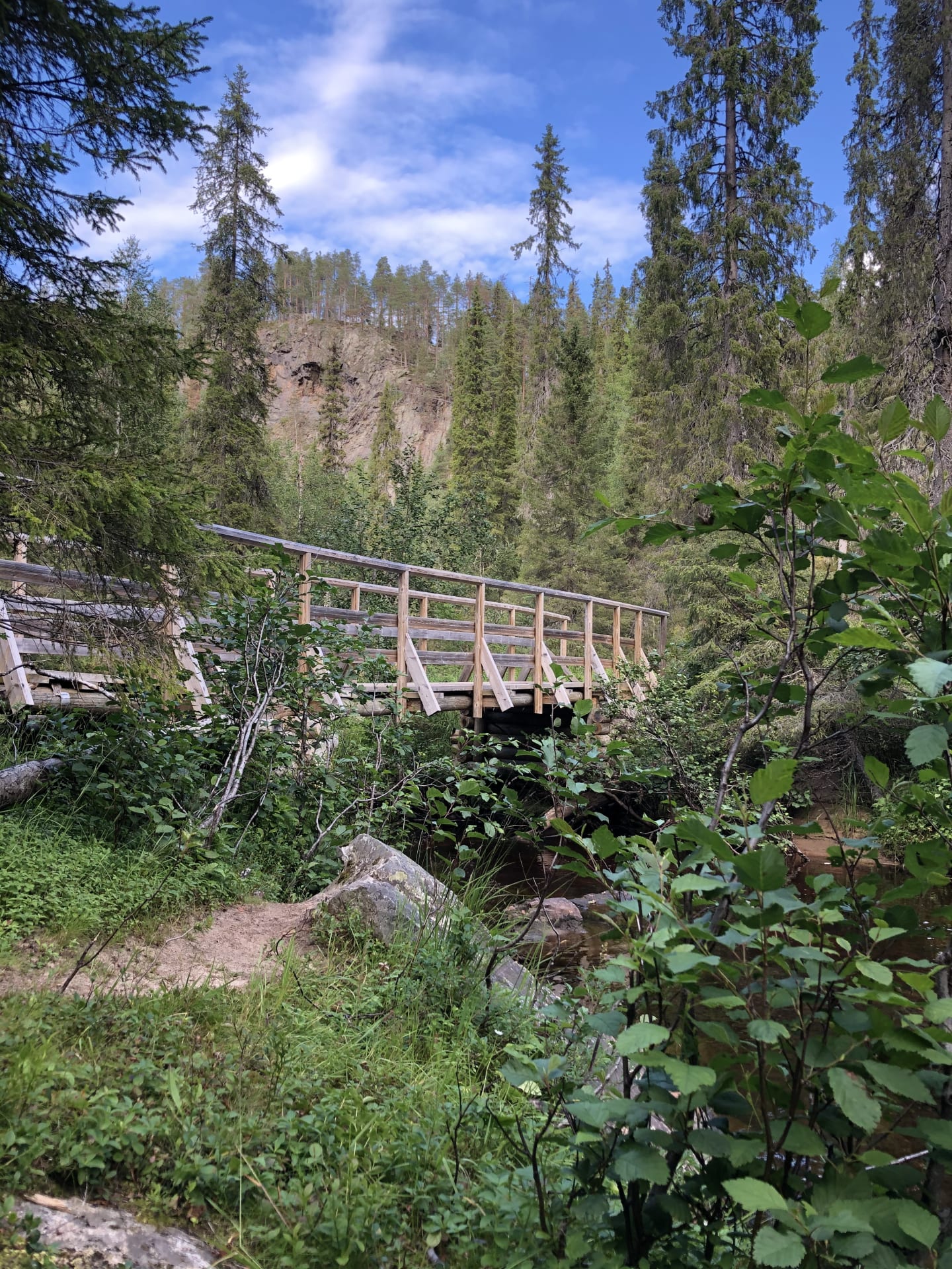Trekking in the Heart of Nature