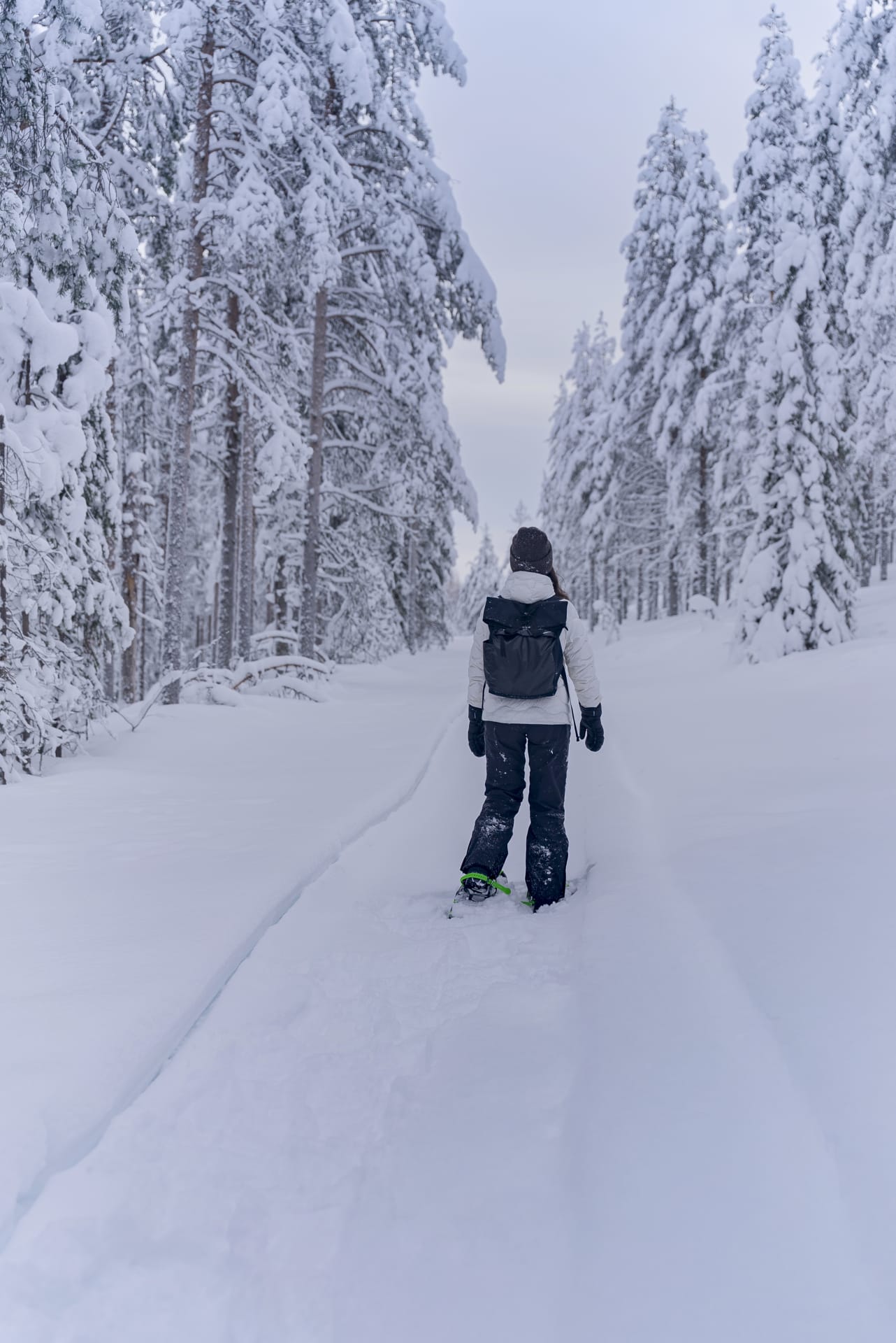 Snowshoeing