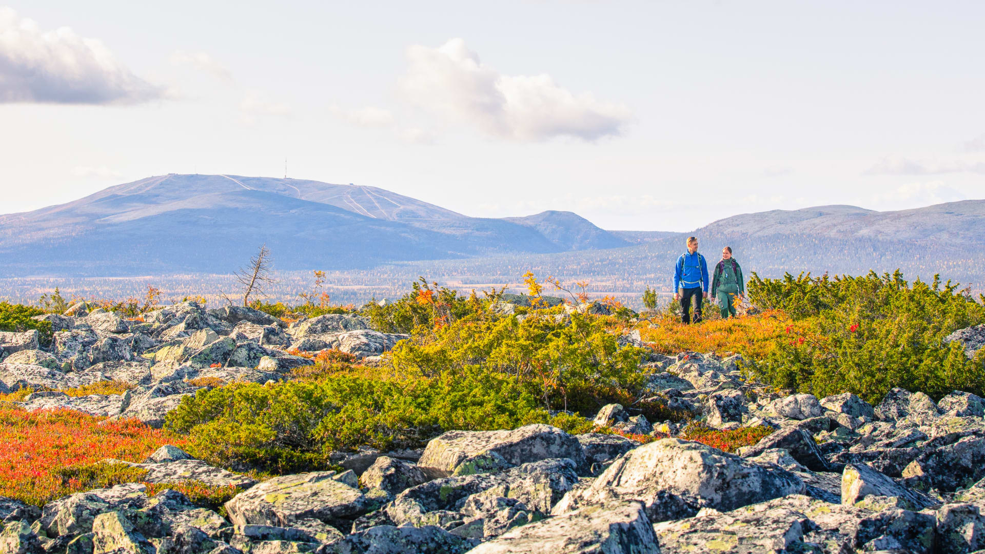 Fell Aakenustunturi