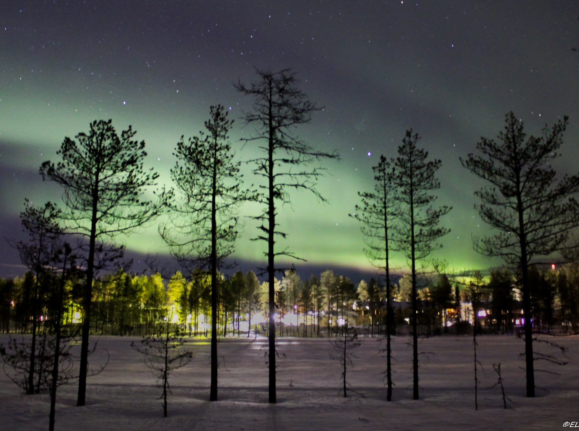 Starlight Snowmobile Safari