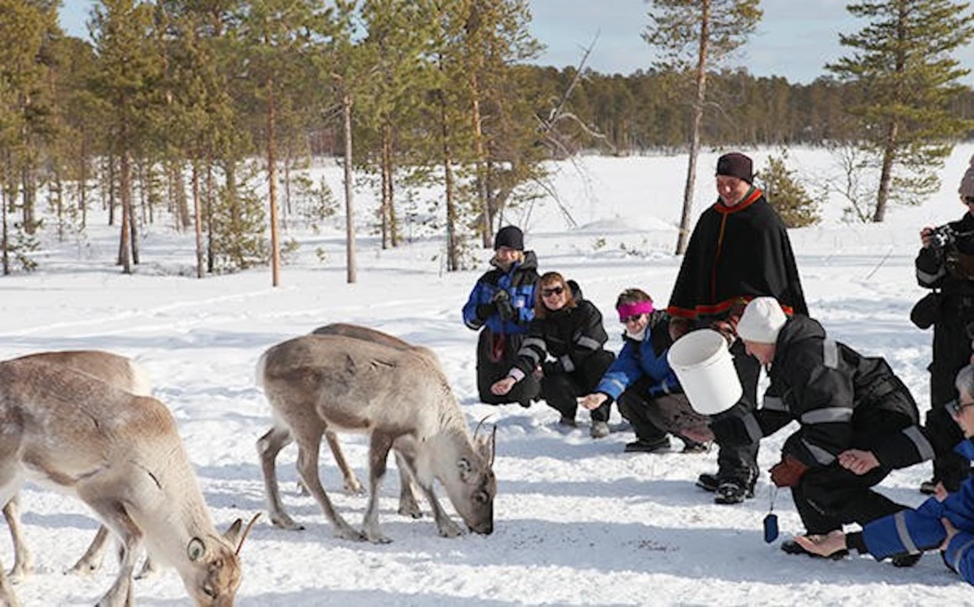 Reindeer Day with Snowmobile
