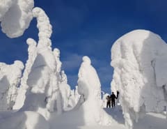 Iivaaran lumikenkäseikkailu - yksityinen retki