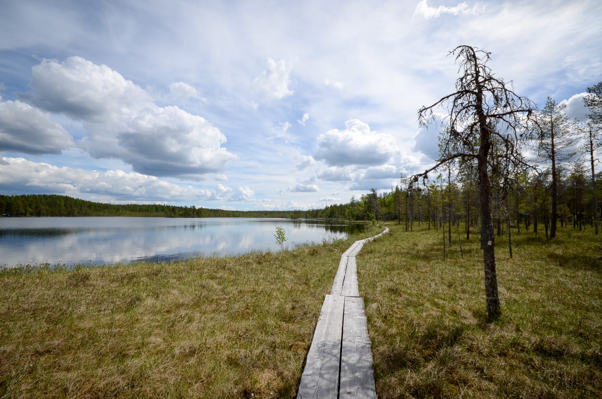 Salamajärvi National Park
