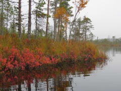 Salamajärven kansallispuisto