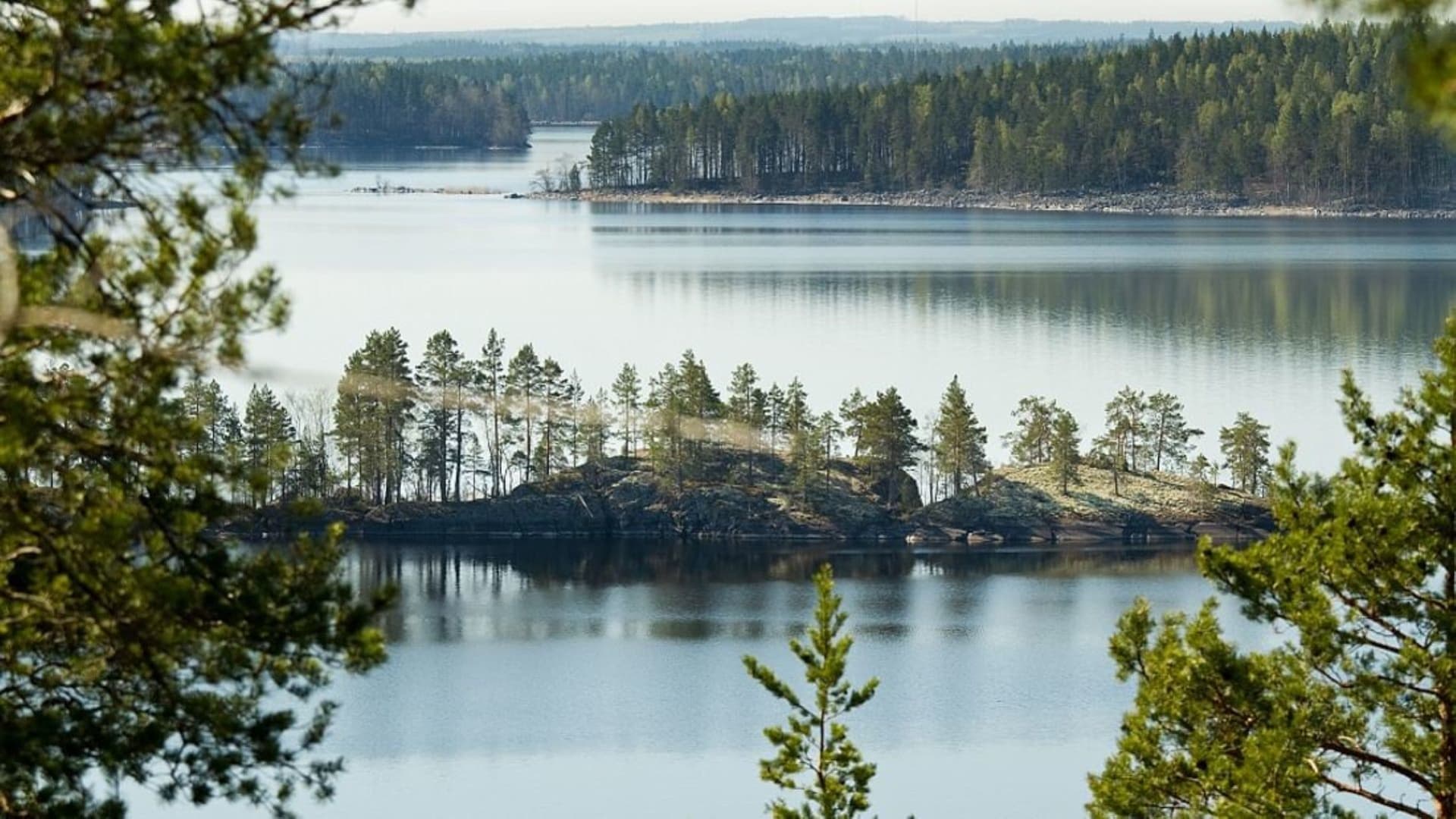 Landscape