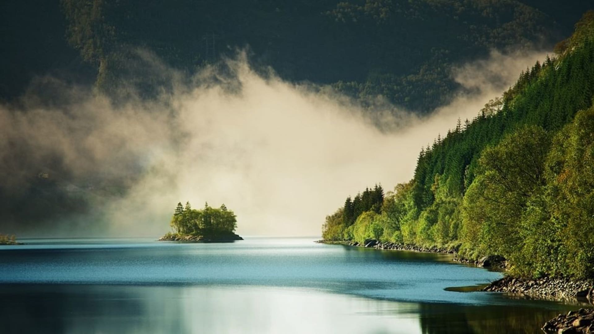 Landscape