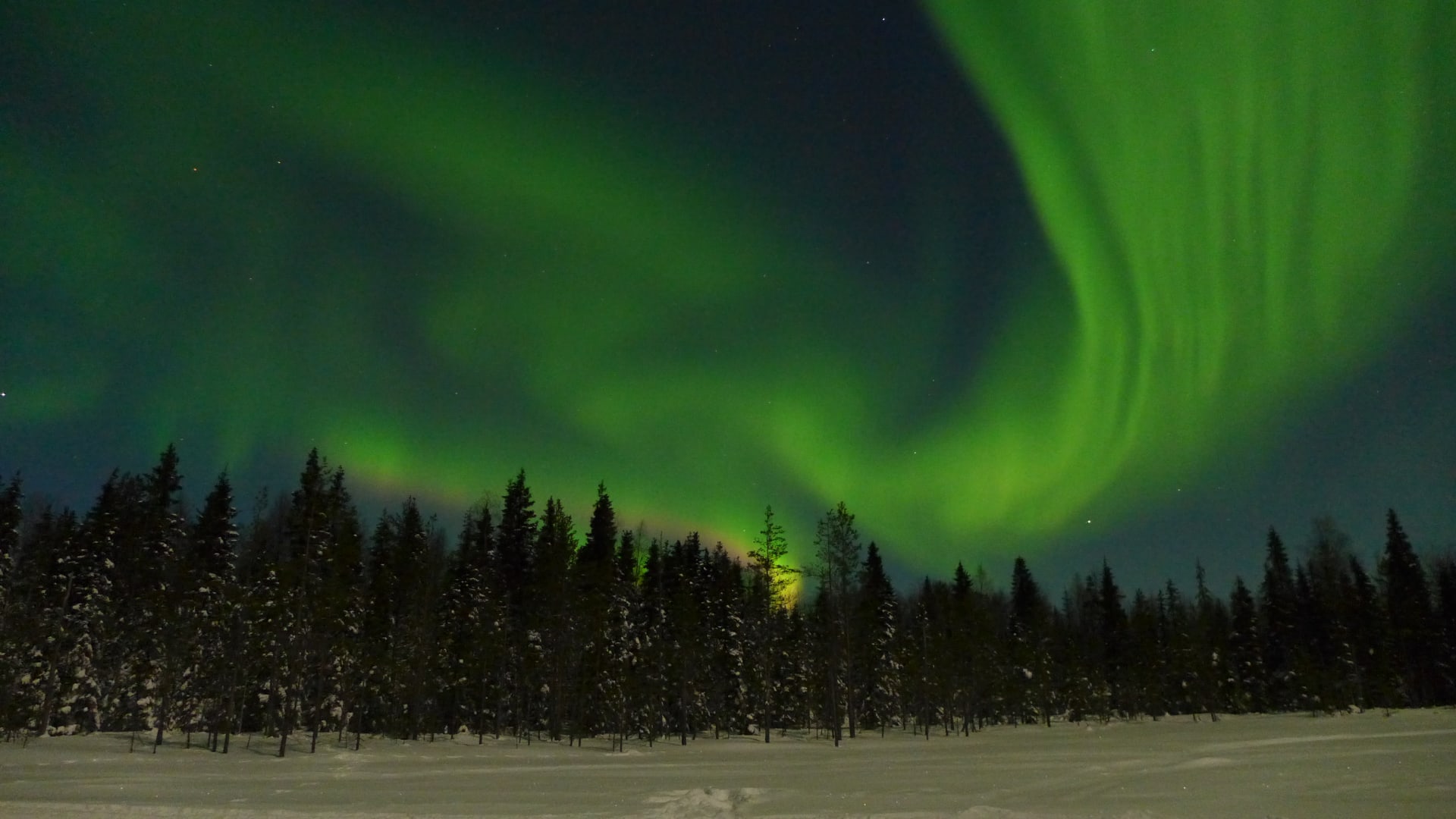 Aurora Hunt by Car