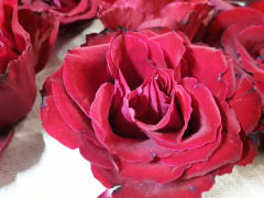 Ruusun terälehdillä koristellaan sauna.